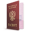 Паспорт собственника